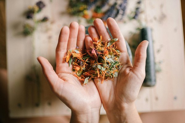 Naturopathe : comprendre et revitaliser son corps avec les plantes